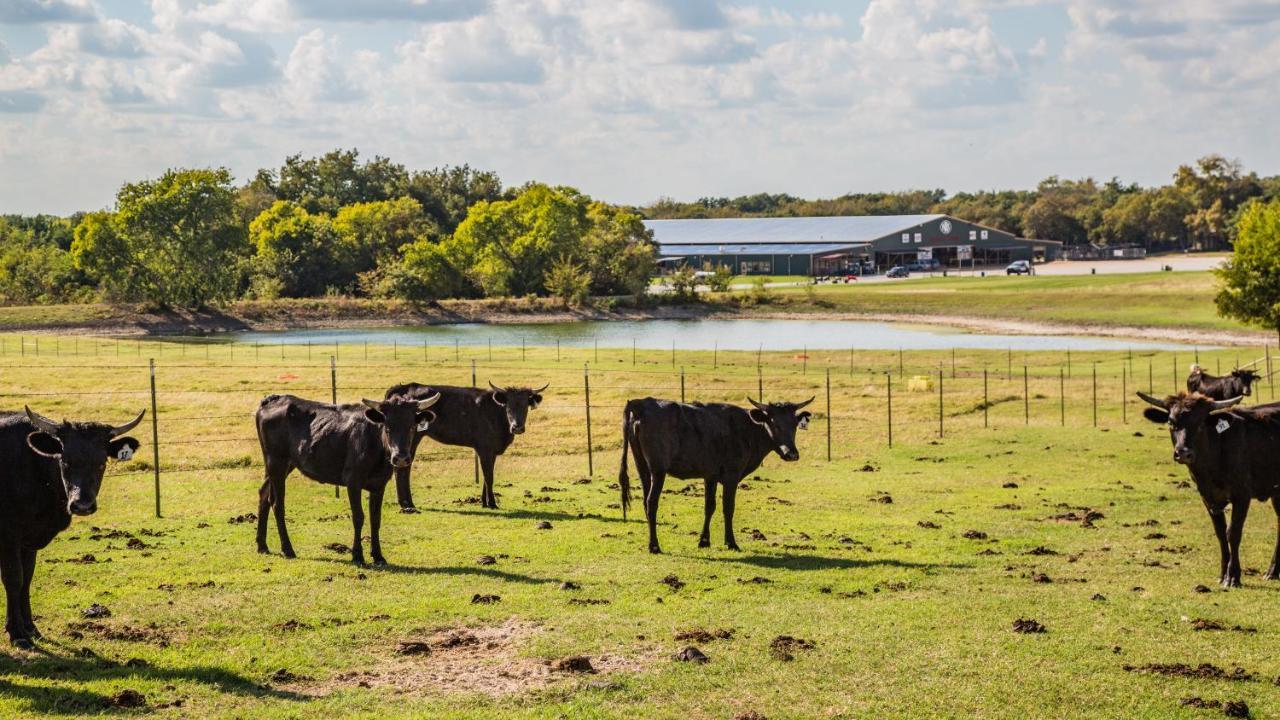 Hotel Nrs Event Center & Guest Ranch Decatur Esterno foto